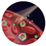 ICG bound with plasma proteins
