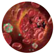 Fluorescence signal emitted